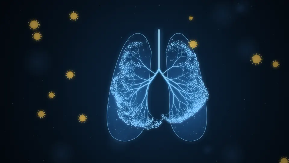 Respiratory Allergy / Allergic Rhinitis illustration